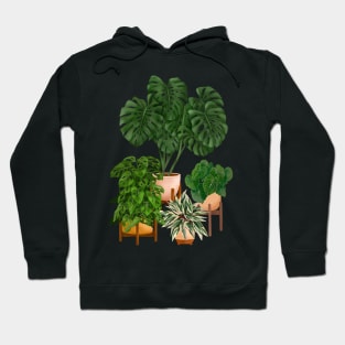 House plants collection 6 Hoodie